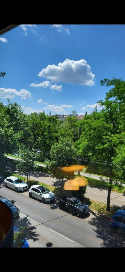 Schoene Altbauwohnung Wien Zentrum Brigittenauer Laende 32 外观 照片