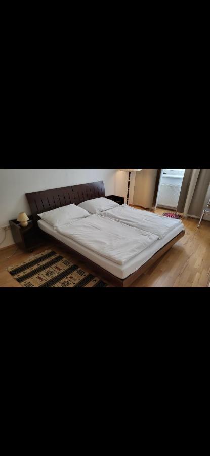 Schoene Altbauwohnung Wien Zentrum Brigittenauer Laende 32 外观 照片