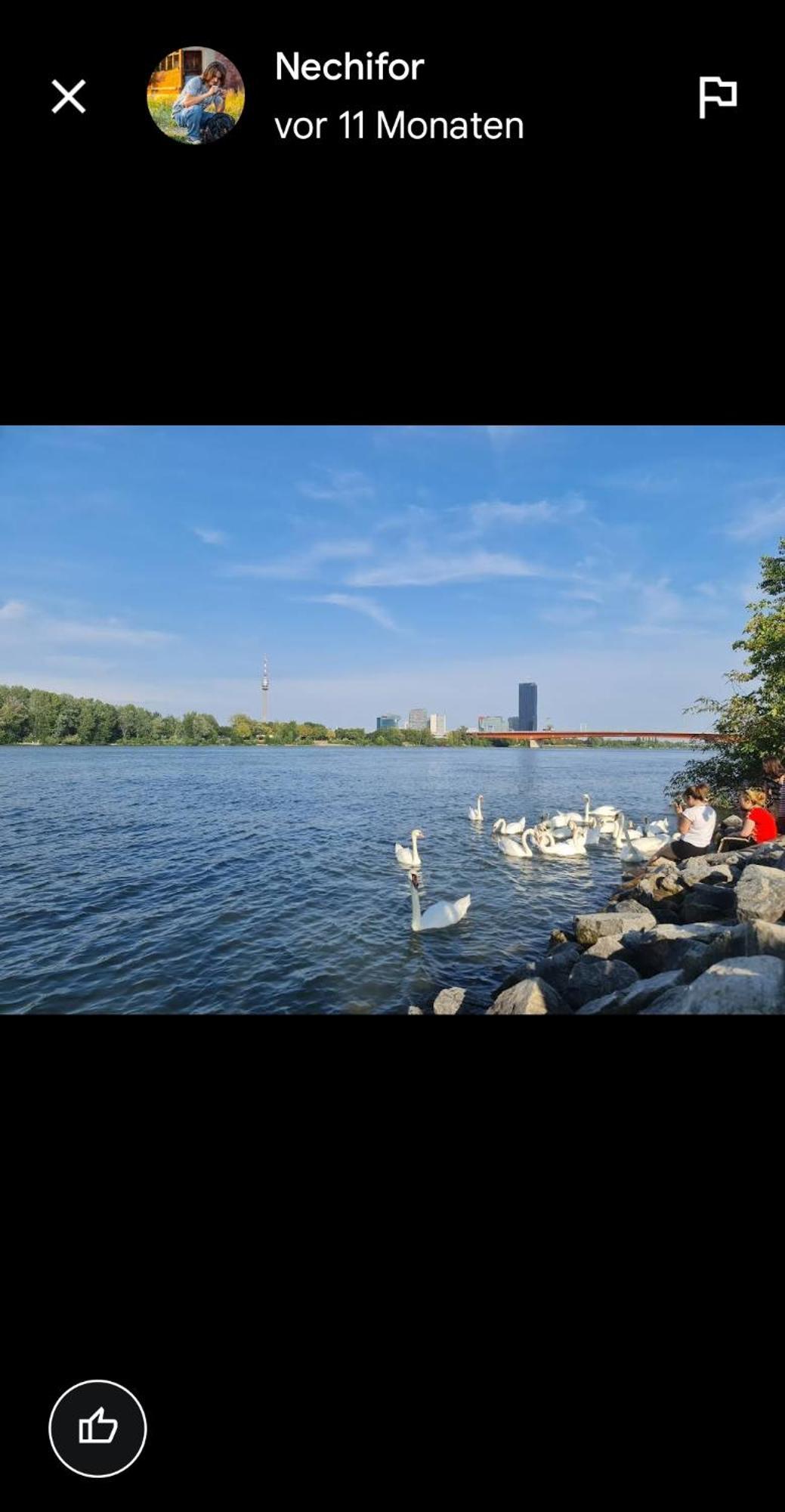 Schoene Altbauwohnung Wien Zentrum Brigittenauer Laende 32 外观 照片